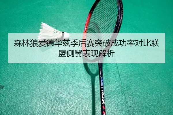 森林狼爱德华兹季后赛突破成功率对比联盟侧翼表现解析